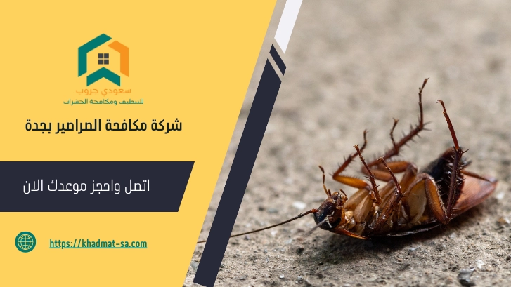 شركة مكافحة الصراصير بجدة