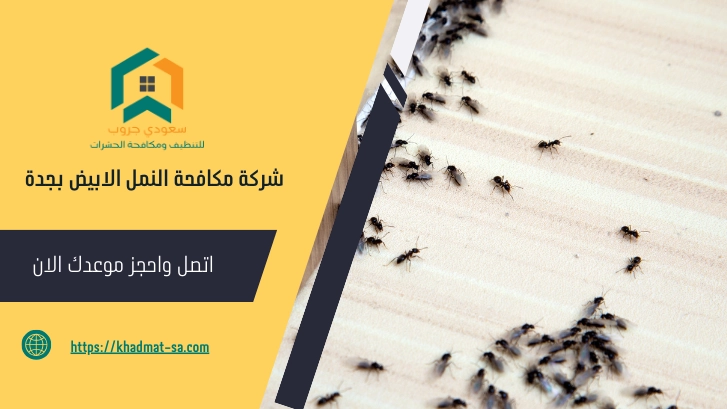 شركة مكافحة النمل الابيض بجدة  